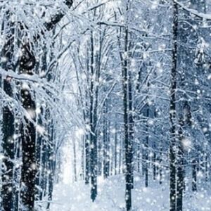 Meet your Posher, Jen